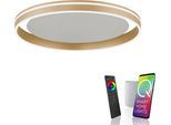 LED Deckenleuchte "Q-VITO", messingfarben matt, 1, Ø 59cm, 1 Stk., NEUHAUS Q SMART HOME LIGHTS, Leuchten, LED Deckenleuchte