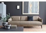 3-Sitzer W.SCHILLIG "sally Design-Sofa, Loungesofa, bequem, schmale Armlehnen, Breite 224cm", braun (stone z59), B:224cm H:78cm T:84cm, Longlife Xtra-Leder Z59: Glattleder mit modischer Prägung. Hautstärke 0, 9 - 1, 1 mm., Sofas, 3-Sitzer, mit Metall-Winkelfüßen in Schwarz pulverbeschichtet, Breite 224 cm