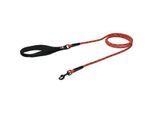 Dogs Creek Tauleine Discovery rot S-M