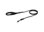 Dogs Creek Tauleine Discovery schwarz S-M