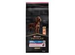 PRO PLAN Large Athletic Adult Sensitive Skin 14 kg