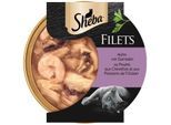 Sheba Filets Nassfutter Katze Huhn und Garnelen 16x60 g