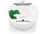 Kringle Candle Gardenia theelichtje 42 g
