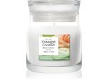 Yankee Candle Blooming Love geurkaars Signature 110 g