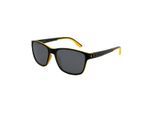 CF90146 Heren Zonnebril