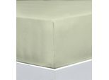 Bettlaken FLORELLA "EXCELLENT Jersey Elastan, 92% Baumwolle", grün (salbei), B:160cm L:220cm, Jersey, Obermaterial: 92% Baumwolle CO. 8% Elasthan EL., Bettlaken, Bettlaken