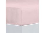 Bettlaken FLORELLA "Flausch-Flanell, 100% Baumwolle", rosa (rosé), B:100cm L:200cm, Flanell, Obermaterial: 100% Baumwolle CO., Bettlaken, Bettlaken