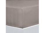 Bettlaken FLORELLA "EXCELLENT Jersey Elastan, 92% Baumwolle", beige (almond), B:200cm L:220cm, Jersey, Obermaterial: 92% Baumwolle CO. 8% Elasthan EL., Bettlaken, Bettlaken