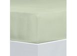 Bettlaken FLORELLA "Flausch-Flanell, 100% Baumwolle", grün (pastell grün), B:100cm L:200cm, Flanell, Obermaterial: 100% Baumwolle CO., Bettlaken, Bettlaken