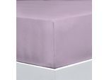 Bettlaken FLORELLA "EXCELLENT Jersey Elastan, 92% Baumwolle", lila (aster), B:100cm L:220cm, Jersey, Obermaterial: 92% Baumwolle CO. 8% Elasthan EL., Bettlaken, Bettlaken