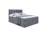 BOXSPRINGBETT BRUGO KING - 200 x 200 - H3/H4 - Dunkelgrau