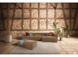 Ecksofa W.SCHILLIG "around-the-block Mega Sofa, viel Platz und hoher Sitzkomfort, L-Form", braun (fango z69), B:341cm H:66cm T:164cm, Longlife Xtra-Leder Z69: Das feinnarbige, gedeckte Softleder Z69 besticht durch seine außergewöhnliche Weichheit im trendigen »Vintage-Look«, Hautstärke 0, 9 - 1, 1 mm;Longlife fabric Flachgewebe T88 (100% Polyester), Sofas, Ecksofa, mit eleganter Biese, mit Federke