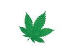 Mary Jane Pasties, 2 Paar