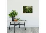Leinwandbild KOMAR "Mystic Birch Grove - Größe 40 x 30 cm", bunt (farbe bild(er): bunt), B:40cm H:30cm T:2cm, Holz, Papier, Bilder, Leinwandbild, Keilrahmenbild mi Echtholzrahmen