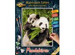 Malen nach Zahlen SCHIPPER "Meisterklasse Klassiker - Pandabären", bunt, Malvorlagen, KinderB:24cm H:30cm, Malen nach Zahlen, Made in Germany, B:24cm H:30cm