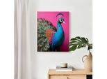 Wandbild REINDERS "Pink Peacock", rosa (farbe bild(er): rosa), B:50cm H:40cm T:3cm, MDF, Bilder, Wandbild