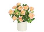 Kunstblume I.GE.A. "Wildrosen Busch im Topf", orange (peach), B:18cm H:21cm L:18cm, Polyester, Kunstpflanzen, Kunstblume, Rosen Kunstrosen Kunstpflanze Blumen Künstliche Hochzeitsdeko
