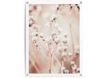 Poster REINDERS "Getrockneter Zweig", beige (farbe bild(er): beige), B:60cm H:80cm T:0,1cm, Leinwand, Bilder, Poster