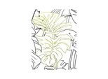 Bild KOMAR "Monstera Borsigiana", grün (farbe bild(er): grün, weiß), B:40cm H:50cm, Holz, Papier, Bilder, Bild, Wandbild zur Dekoration - ohne Rahmen