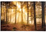 Poster REINDERS "Erleuchteter Wald", braun (farbe bild(er): braun), B:91,5cm H:61cm, Papier, Bilder, Poster