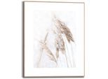Kunstdruck REINDERS "Pampasgras", weiß (farbe bild(er): weiß), B:40cm H:50cm T:1,6cm, MDF, Bilder, Kunstdruck