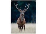 Poster REINDERS "Hirsch", braun (farbe bild(er): braun), B:60cm H:80cm T:0,1cm, Leinwand, Bilder, Poster
