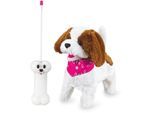 RC-Tier JAMARA "JAMARA KIDS Plüschhund Lucky, 27 MHz", braun (weiß, braun), Fernlenkfahrzeuge, KinderB:11cm H:21cm, Plüsch, RC-Tier, B:11cm H:21cm