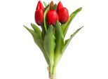 Kunstblume BOTANIC-HAUS "Willa", rot, B:16cm H:32cm T:16cm, Kunststoff, Kunstpflanzen, Kunstblume, Tulpenbündel im 7er-Set