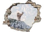 Wandtattoo QUEENCE "Gams", beige (natur), B:60cm H:50cm T:0,1cm, Wandtattoos, Wandtattoo, Wandsticker, Wandbild, selbstklebend, 3D, Wanddurchbruch