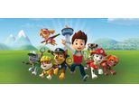 Leinwandbild BÖNNINGHOFF "Paw Patrol", bunt (farbe bild(er): grün, blau, rot, gelb, orange, rosa), B:70cm H:33cm, MDF, Papier, Bilder, Leinwandbild