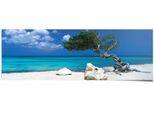 Poster REINDERS "Tom Mackie divi divi Baum", blau (farbe bild(er): blau), B:158cm H:53cm, Papier, Bilder, Poster