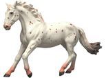 Spielfigur SCHLEICH "HORSE CLUB, Knabstrupper Stute (14917)", weiß, Spielfiguren, Kinder, Kunststoff, Spielfigur