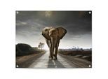 Poster REINDERS "Elefantenkönig", braun (farbe bild(er): braun), B:80cm H:60cm T:0,1cm, Leinwand, Bilder, Poster, Outdoor für Garten oder Balkon