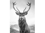 Leinwandbild BÖNNINGHOFF "Wandbild HIRSCH 46x61 cm – Leinwandbild Keilrahmen Deko modern", grau (farbe rahmen: kein rahmen, farbe bild(er): grau, schwarz, weiß), B:46cm H:61cm T:1,8cm, Canvas, MDF, Bilder, Leinwandbild, auf Keilrahmen gespannt