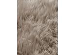 Teppich HEINE HOME Gr. 3, grau (taupe), B:68cm H:70mm L:140cm, Lammfell, Lammwolle, Teppiche, Fellteppich Schurwollteppich Teppich
