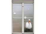 Wandsticker QUEENCE "Schwäne", beige (natur), B:40cm H:60cm T:0,1cm, Wandtattoos, Wandsticker, Wandsticker, Wandbild, selbstklebend, 3D, Fenster