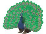 Spielfigur SCHLEICH "FARM WORLD, Pfau (14926)", grün, Spielfiguren, Kinder, Kunststoff, Spielfigur