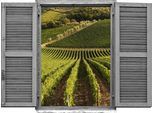 Wandtattoo QUEENCE "Weinberg", grün, B:80cm H:60cm T:0,1cm, Wandtattoos, Wandtattoo, Wandsticker, Wandbild, selbstklebend, 3D, Fenster