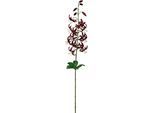 Kunstblume CREATIV GREEN "Wildlilienzweig", dunkelrot, H:81cm, Kunststoff, Kunstpflanzen, Kunstblume, mit zauberhaften Blüten