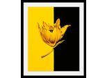 Bild QUEENCE "Blüte", bunt (farbe rahmen: schwarz, farbe bild(er): bunt), B:30cm H:40cm T:3cm, Acrylglas, Holz, Papier, Bilder, Bild, HD Premium Poster-Druck inkl. Holzrahmen