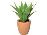 Künstliche Zimmerpflanze CREATIV GREEN "Agave im Terracottatopf", grün, H:40cm, Obermaterial: 100% Polyethylen, Kunstpflanzen, Künstliche Zimmerpflanze