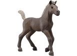 Spielfigur SCHLEICH "HORSE CLUB, Sammelfohlen Darcy (81460)", braun, Spielfiguren, Kinder, Kunststoff, Spielfigur, inklusive Sammelposter