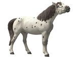 Spielfigur SCHLEICH "HORSE CLUB, Knabstrupper Wallach (14916)", weiß, Spielfiguren, Kinder, Kunststoff, Spielfigur