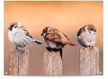 Poster REINDERS "Vogelfamilie", beige (farbe bild(er): beige), B:80cm H:60cm T:0,1cm, Leinwand, Bilder, Poster