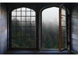 Wandsticker QUEENCE "Nebel", grün, B:60cm H:40cm, Vinyl, Wandtattoos, Wandsticker, Wandsticker, Wandbild, selbstklebend, 3D, Fenster
