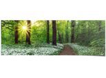Poster REINDERS "Waldlichtung Frühling", grün (farbe bild(er): grün), B:158cm H:53cm, Papier, Bilder, Poster