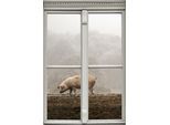 Wandsticker QUEENCE "Schwein", braun, B:40cm H:60cm T:0,1cm, Wandtattoos, Wandsticker, Wandsticker, Wandbild, selbstklebend, 3D, Fenster