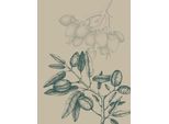 Bild KOMAR "Wild Mandolino", beige (farbe bild(er): beige), B:30cm H:40cm, Holz, Papier, Bilder, Bild, Wandbild zur Dekoration - ohne Rahmen