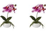 Kunstorchidee CREATIV GREEN "Phalaenopsis in Keramikschale", pink (fuchsia), H:27cm, Obermaterial: 100% Polyethylen, Kunstpflanzen, Kunstorchidee, mit Real-Touch-Blüten