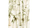 Bild KOMAR "Wild Bamboo", grün (farbe bild(er): grün, weiß), B:30cm H:40cm, Holz, Papier, Bilder, Bild, Wandbild zur Dekoration - ohne Rahmen